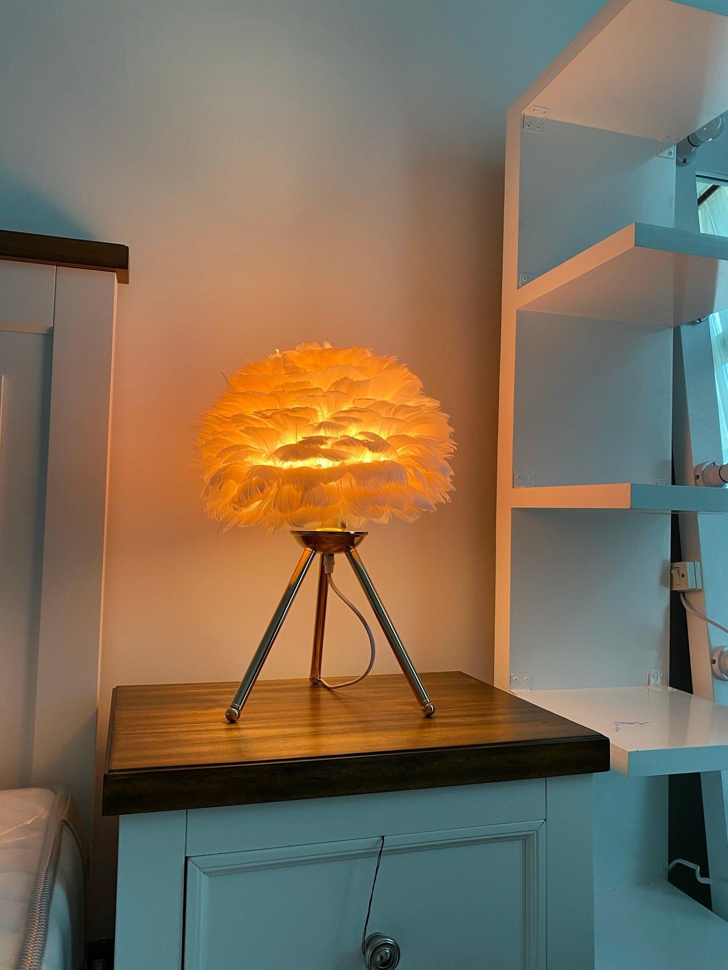 Goose Feather Table Lamp