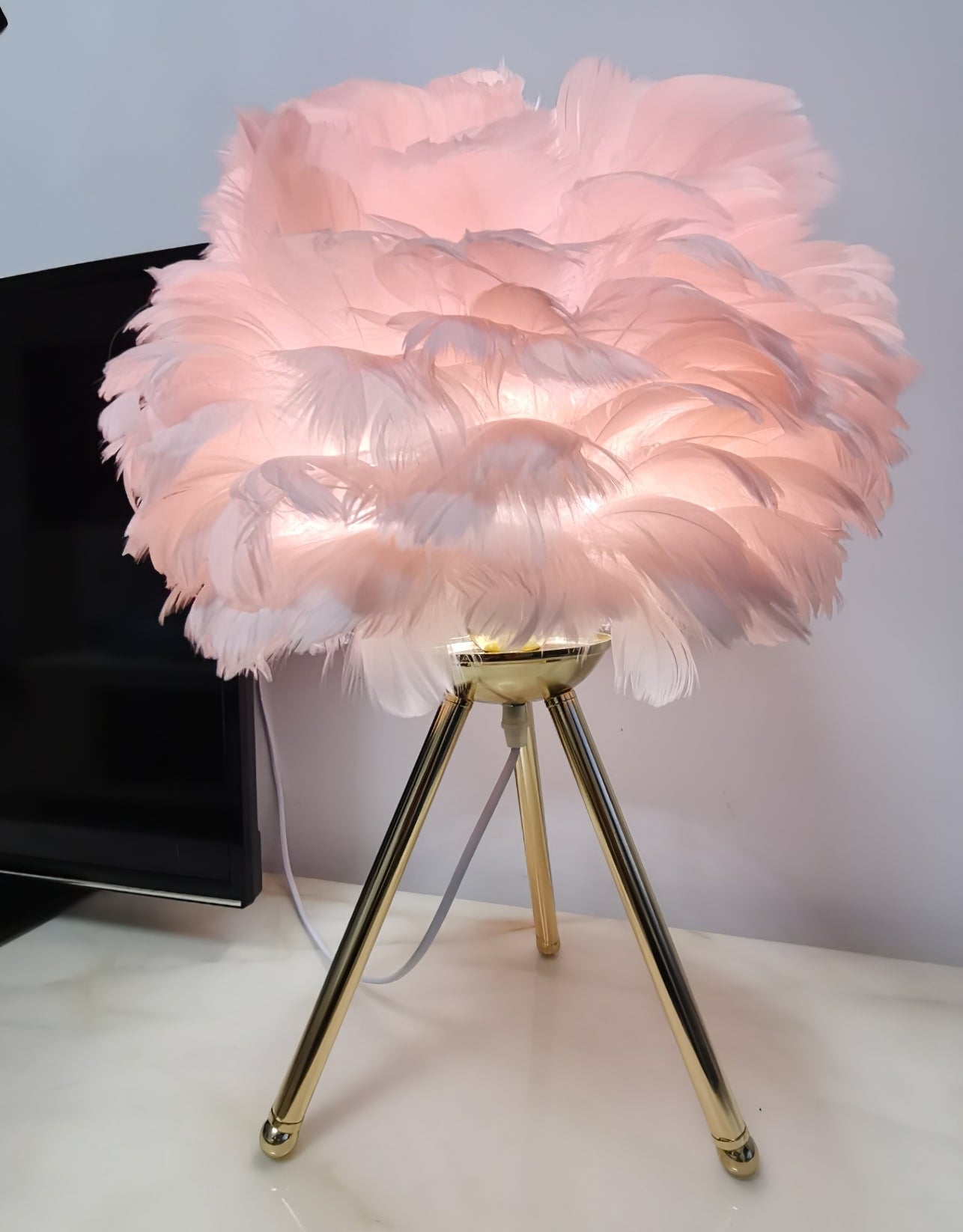 Goose Feather Table Lamp