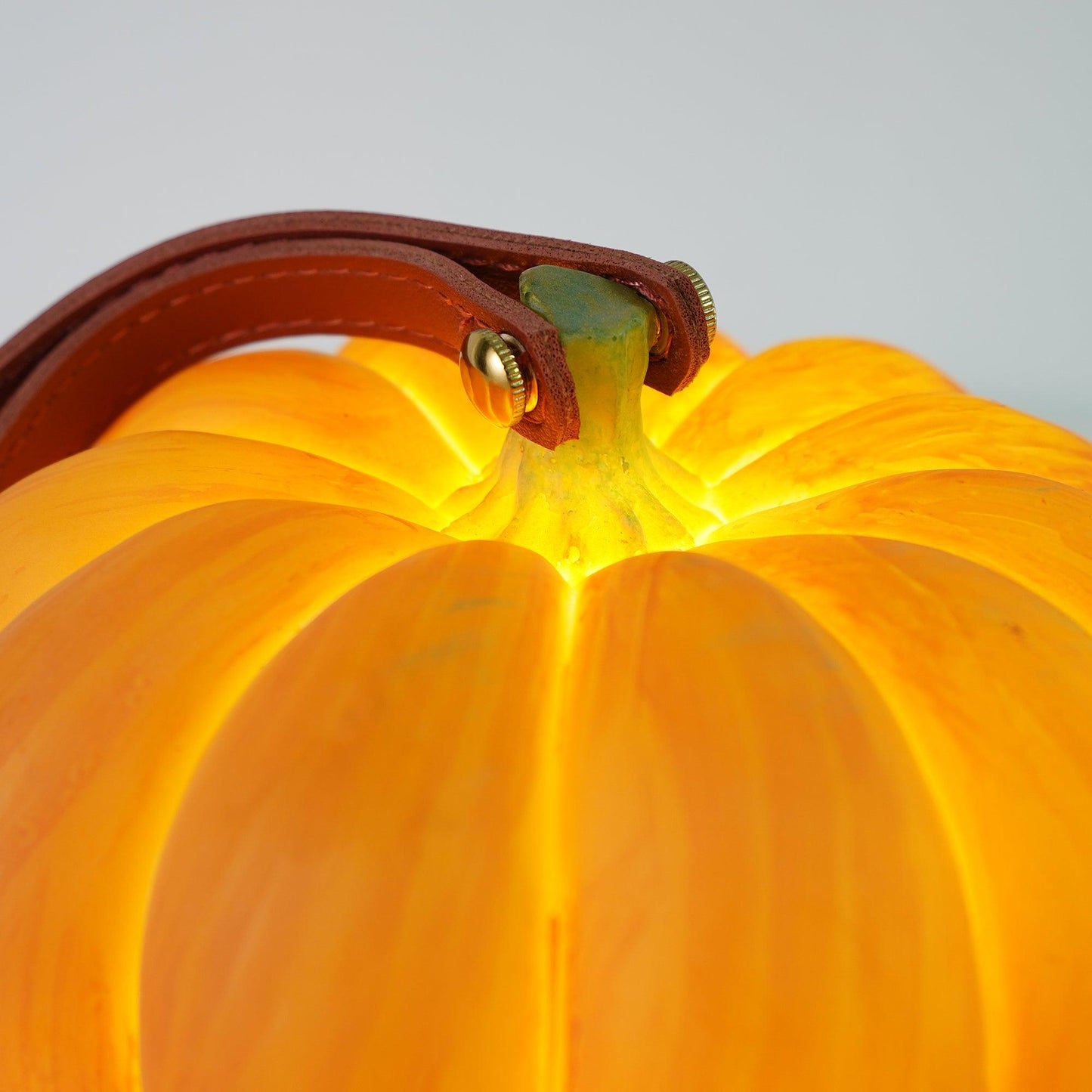 Portable Pumpkin Built-in Battery Table Lamp