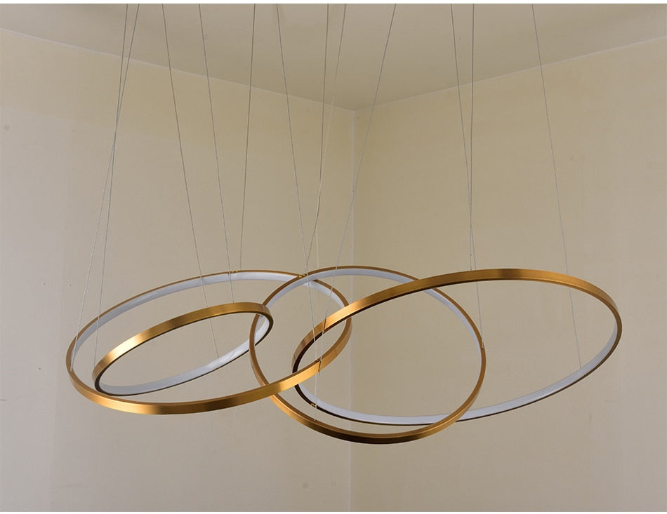 Large ring stainless steel light fixture for living room, hall, staircase, foyer , stairwell