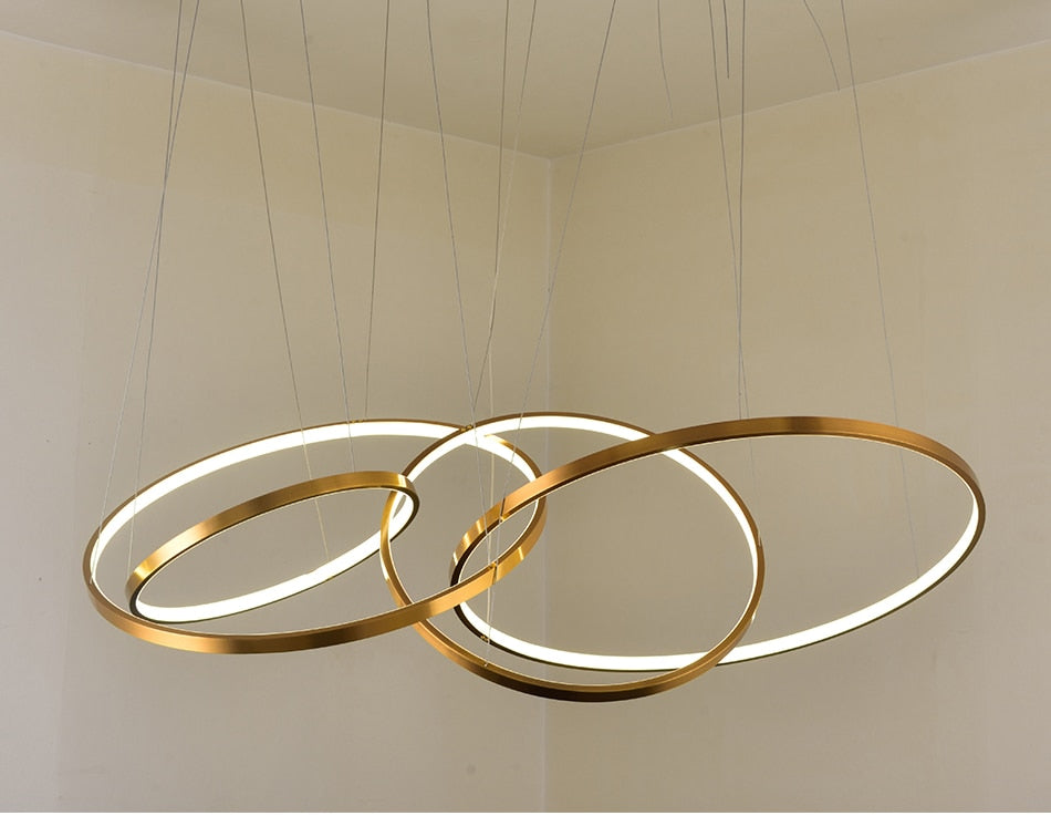 Large ring stainless steel light fixture for living room, hall, staircase, foyer , stairwell